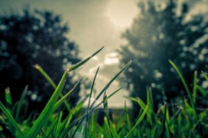 Practical Tips for Protecting Personal Data Online