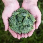 Creative Hobbies That Keep Your Mind and Hands Engaged