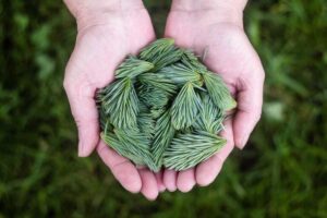 Creative Hobbies That Keep Your Mind and Hands Engaged